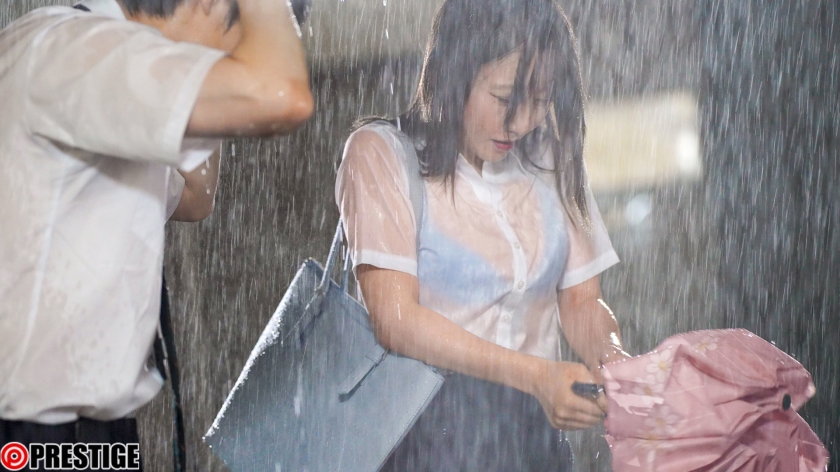 サンプル画像1