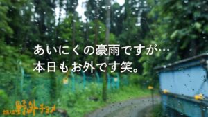 スレンダー美脚奥様！野外不倫でぐちょ濡れ中出し