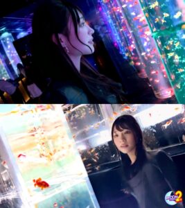 りえ ドスケベビッチ！美乳美尻セフレと初ハメ撮り